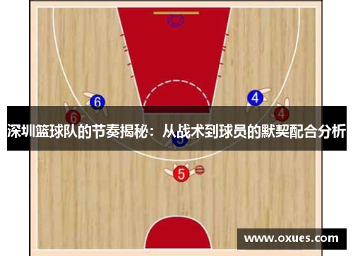 深圳篮球队的节奏揭秘：从战术到球员的默契配合分析