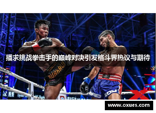 播求挑战拳击手的巅峰对决引发格斗界热议与期待